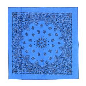 CTM Cotton Contemporary Paisley Print Bandana